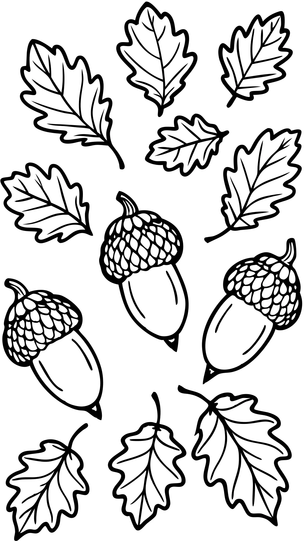 coloring pages acorn